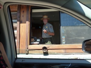 Ranger at Yellowstone