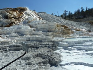 Mammoth Springs