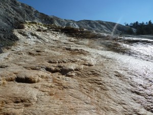 Mammoth Hot Springs