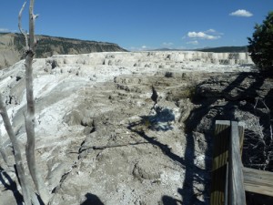 Mammoth Springs
