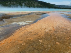 Grand Prismatic Spring