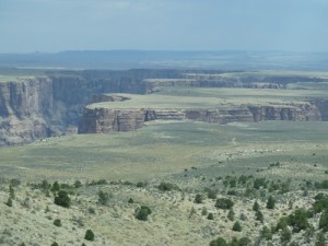 Canyons everywhere