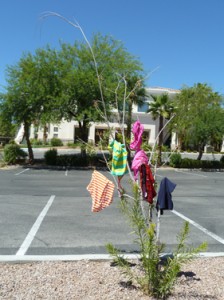 How to dry swimming costumes quickly in Las Vega